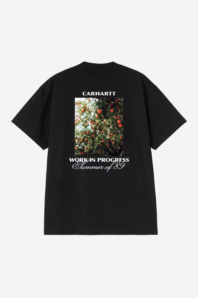 Carhartt WIP Warm Views T-Shirt - Black– The Projekt Store